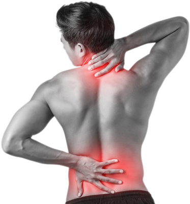 Sports & Exercise Medicine